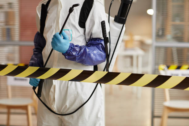 Professional Hoarding Cleanup technician working in Cortland, NE